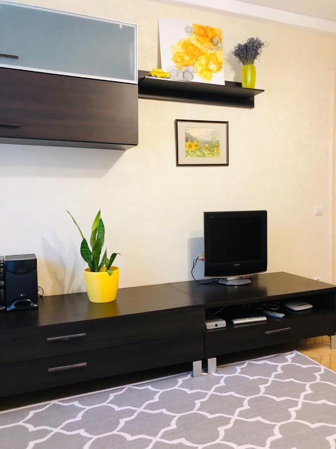 Sunflower Apartment Near Kiev Airport & Railway Station & Center City! Dış mekan fotoğraf